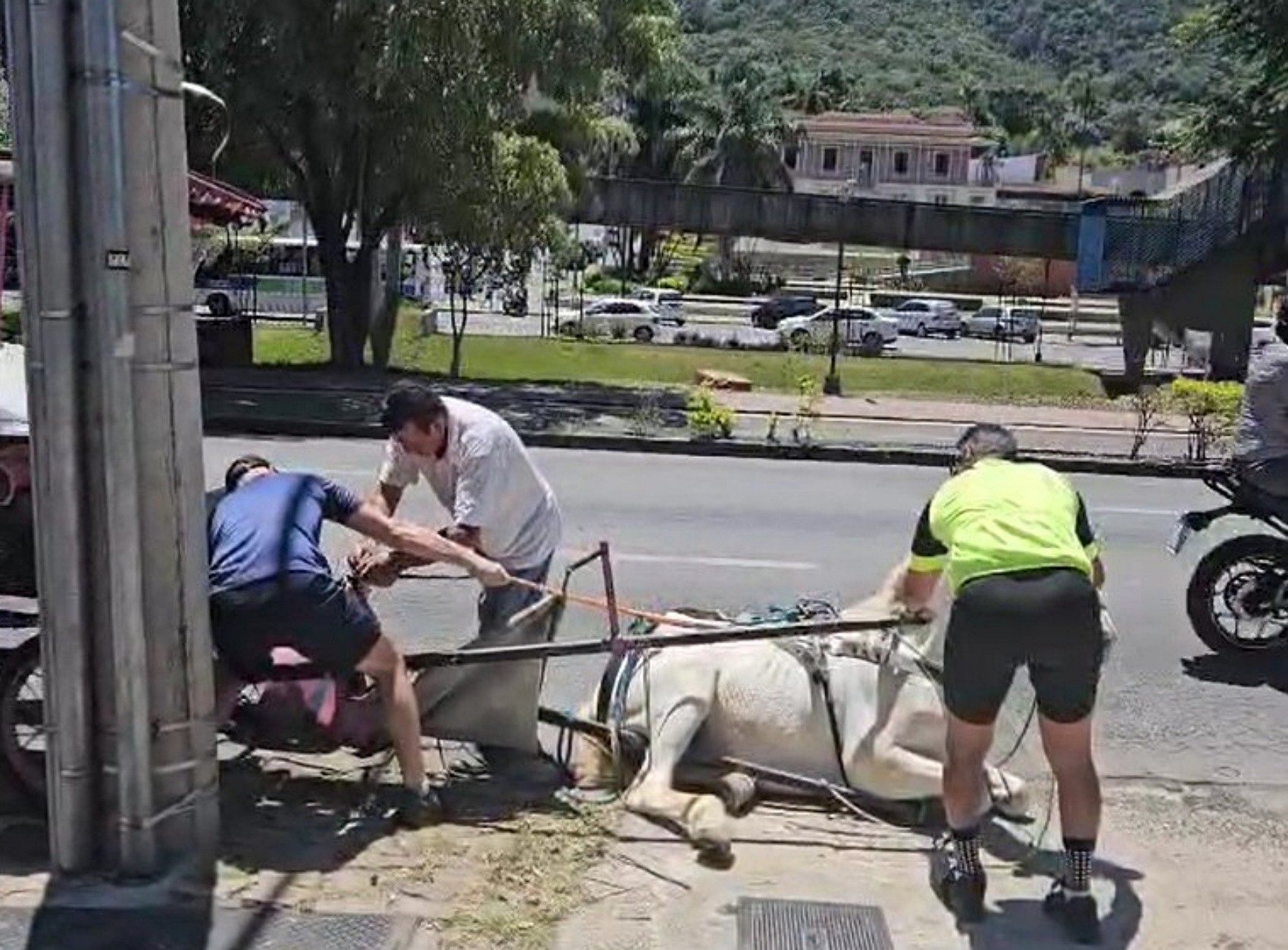 foto Notícia Sete Lagoas