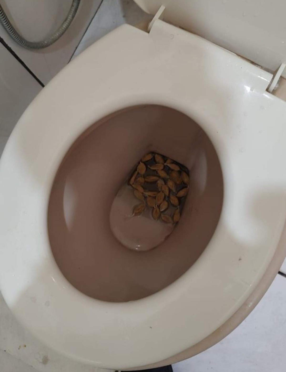 foto Notícia Sete Lagoas