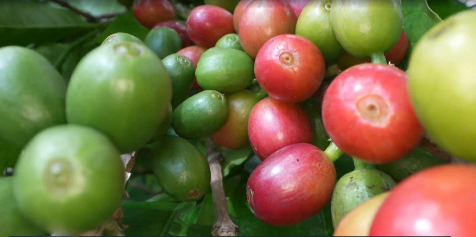 foto Not&iacute;cia Sete Lagoas